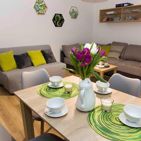 Żywiec Apartament Grapa מראה חיצוני תמונה