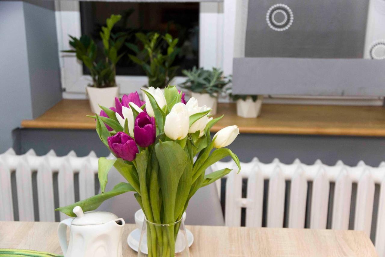 Żywiec Apartament Grapa מראה חיצוני תמונה